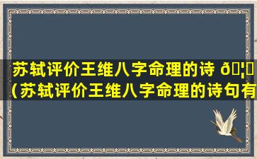 苏轼评价王维八字命理的诗 🦉 （苏轼评价王维八字命理的诗句有哪些）